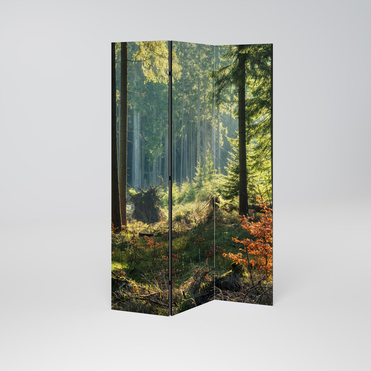 SUNLIT FOREST SERENADE Dekorativ rumsavdelare – 3 paneler