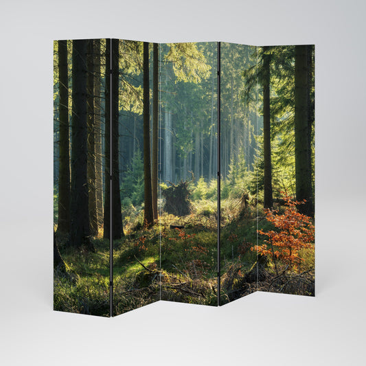 Dekorativ rumsavdelare med 5 paneler i SUNLIT FOREST SERENADE