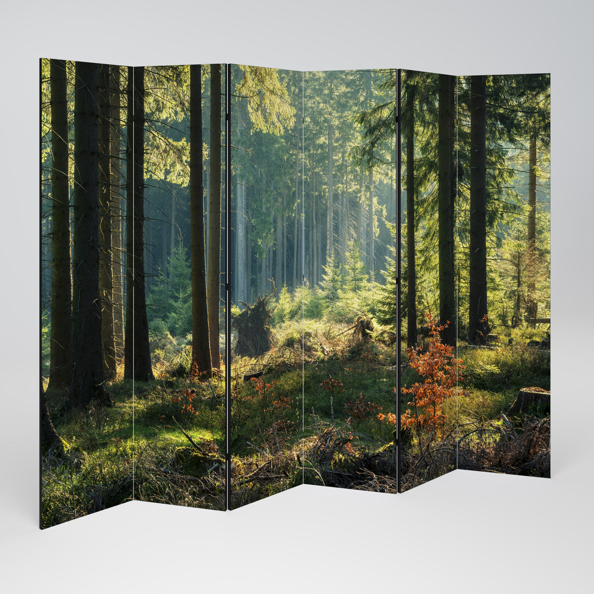 SUNLIT FOREST SERENADE Rumsavdelare 6 paneler