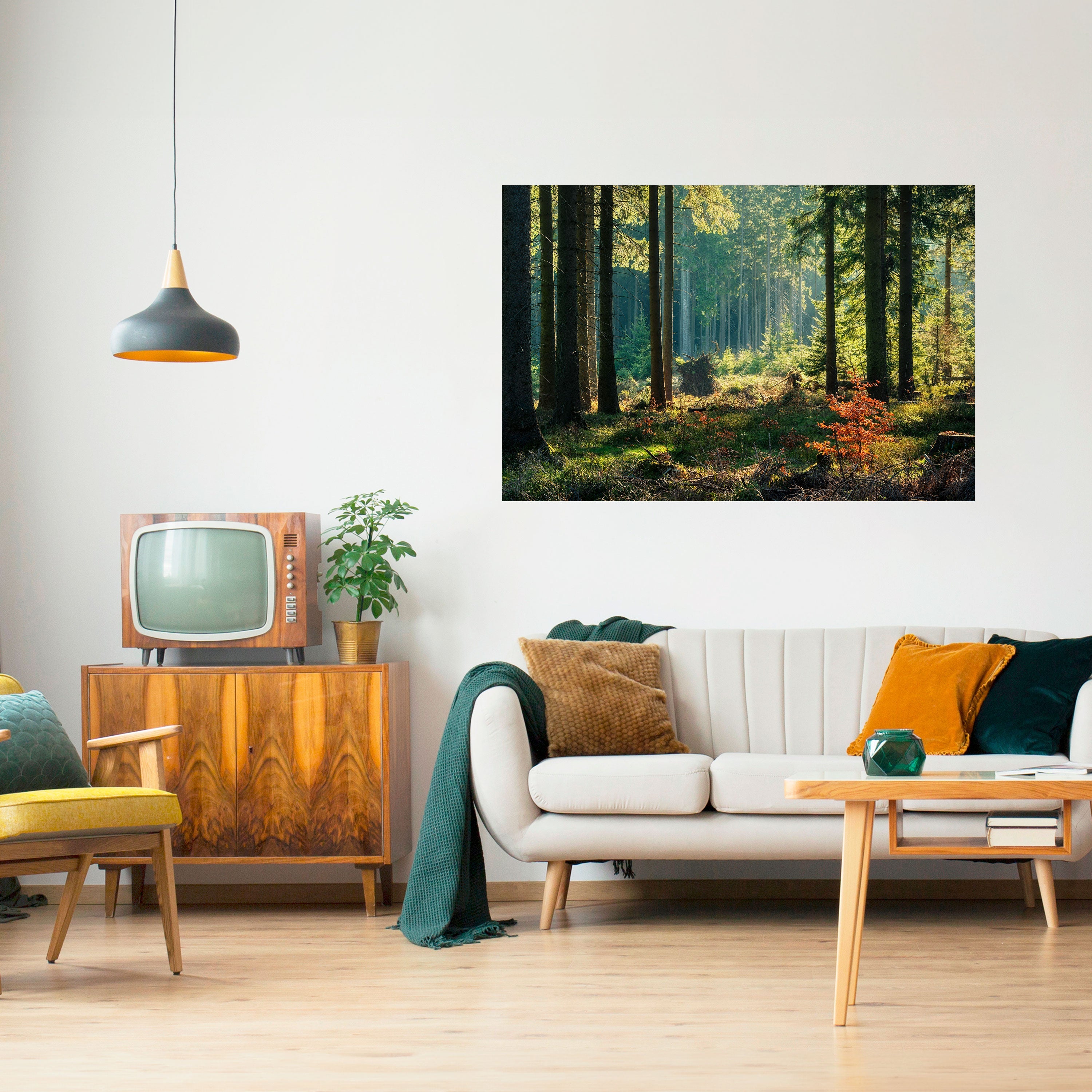 Solbelyst skogsserenad horisontell poster med självhäftande klistermärke