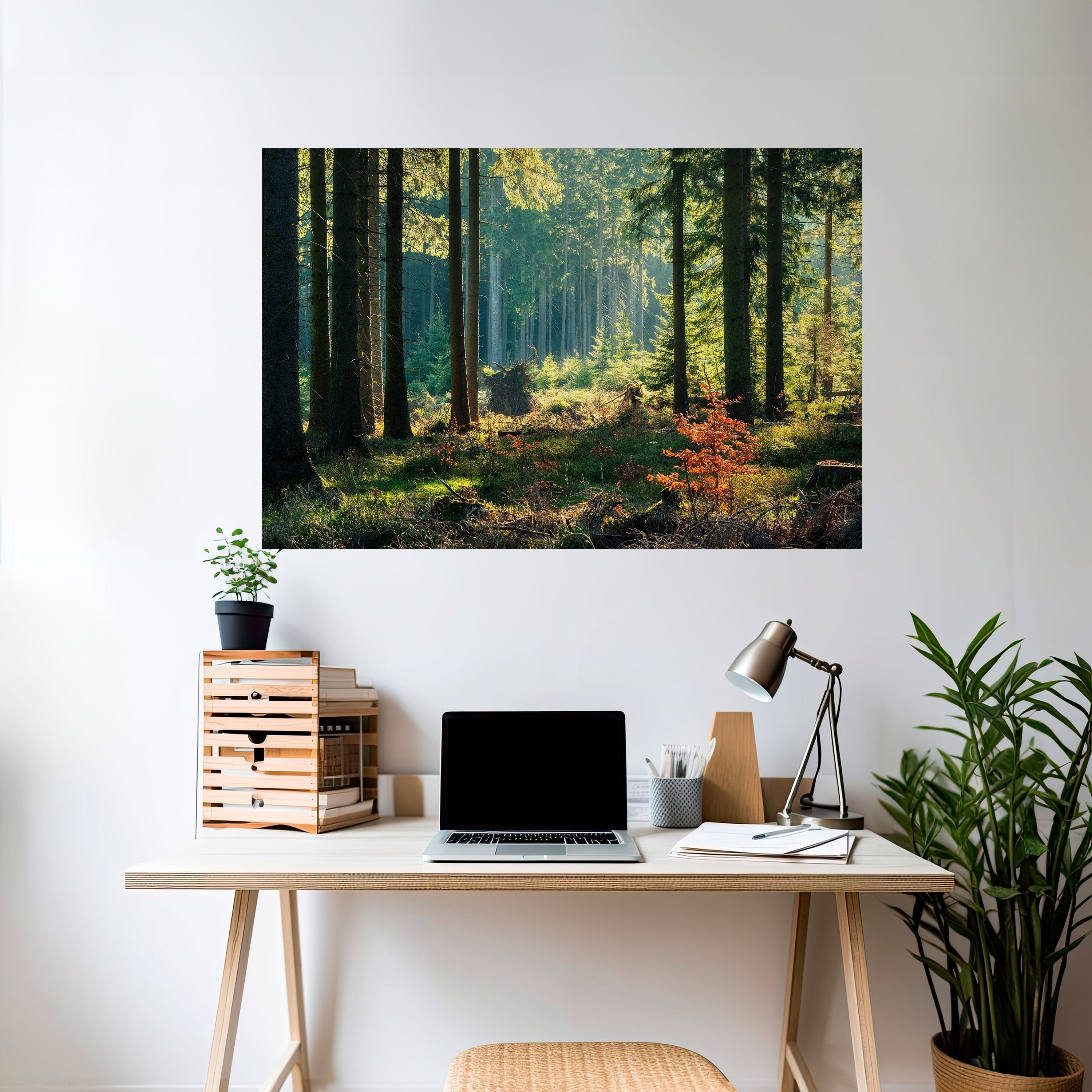 Solbelyst skogsserenad horisontell poster med självhäftande klistermärke
