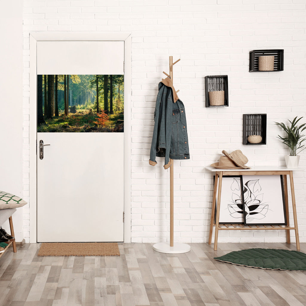 Solbelyst skogsserenad horisontell poster med självhäftande klistermärke