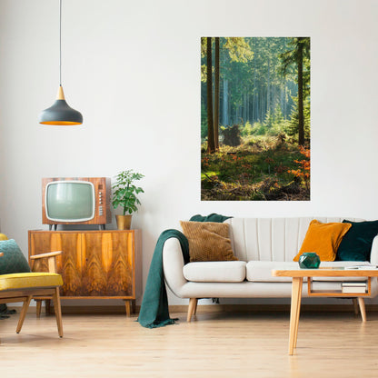 Solbelyst skogsserenad Vertikal poster med självhäftande klistermärke