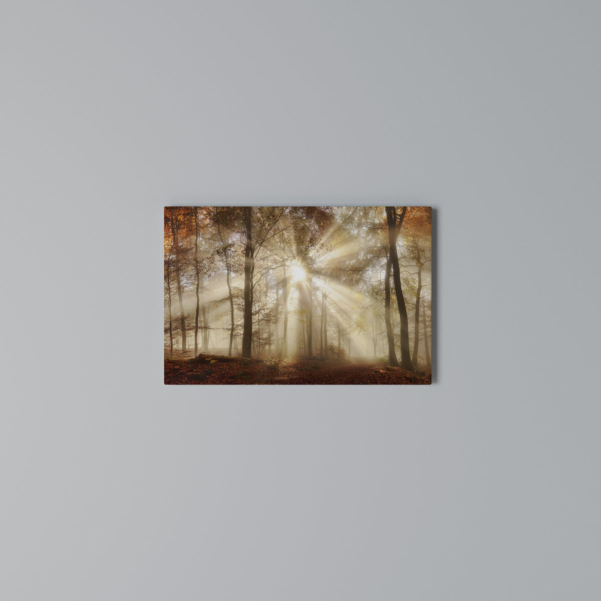 WHISPERS OF AUTUMN Horizontal Canvas Print