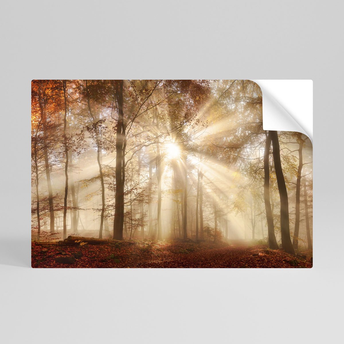 WHISPERS OF AUTUMN Självhäftande Horisontell Poster