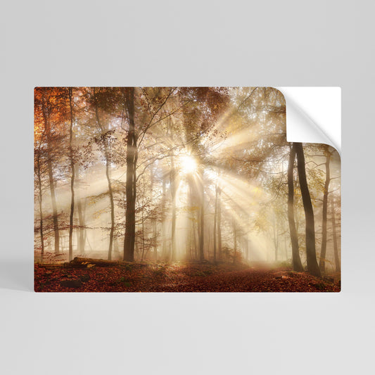 WHISPERS OF AUTUMN Peel and Stick Horizontal Poster