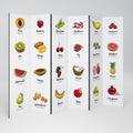 FRUIT LESSON Rumsavdelare 6 paneler