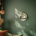 ELEGANT BOTANICS Round Art Shelf In Black Finish