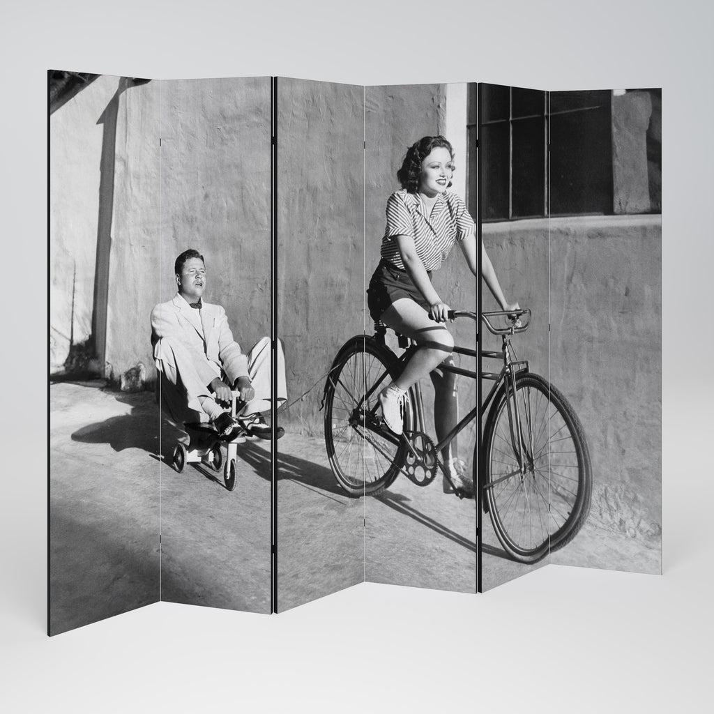 HAPPY JOURNEY 6-panelers rumsavdelare