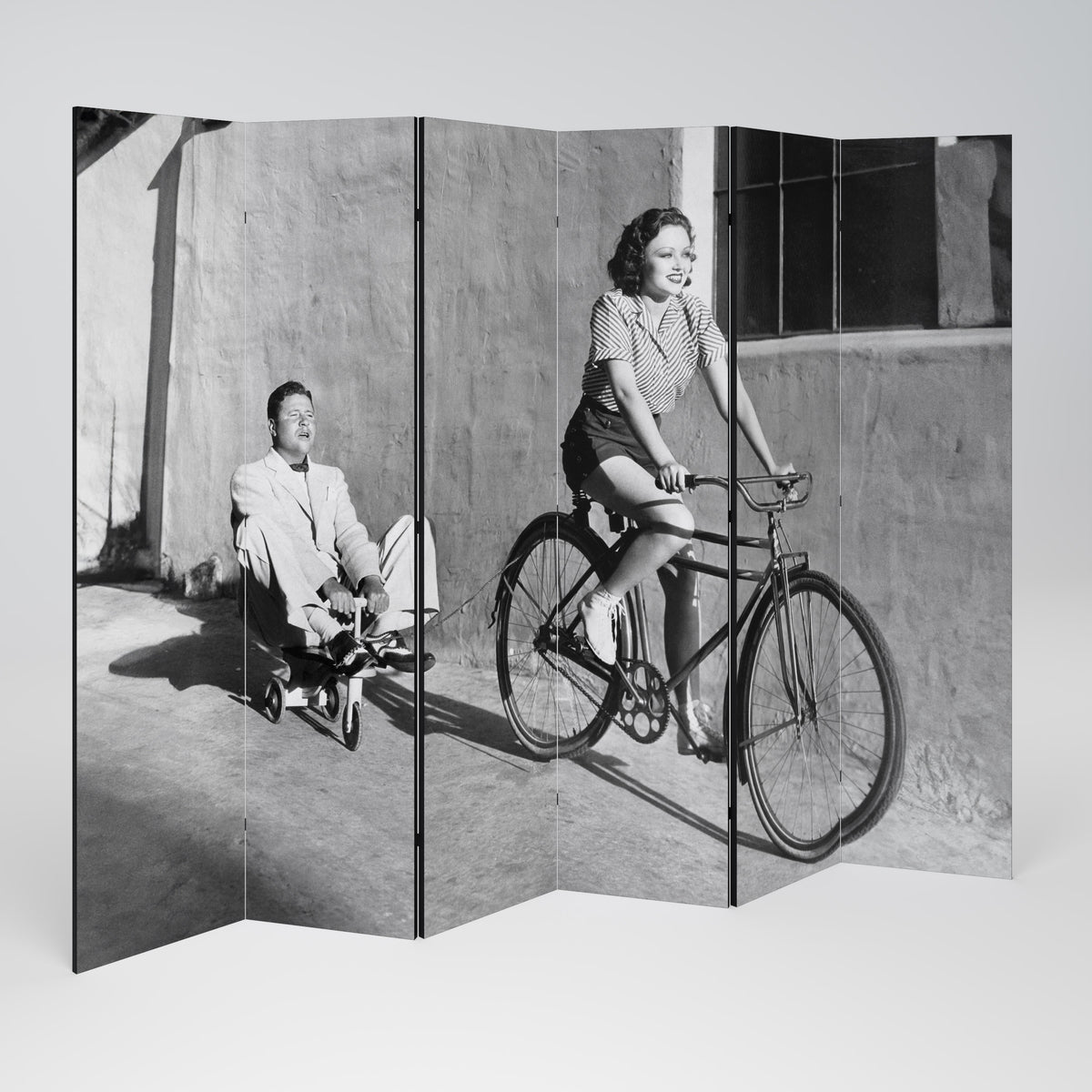 HAPPY JOURNEY Rumsavdelare 6 paneler