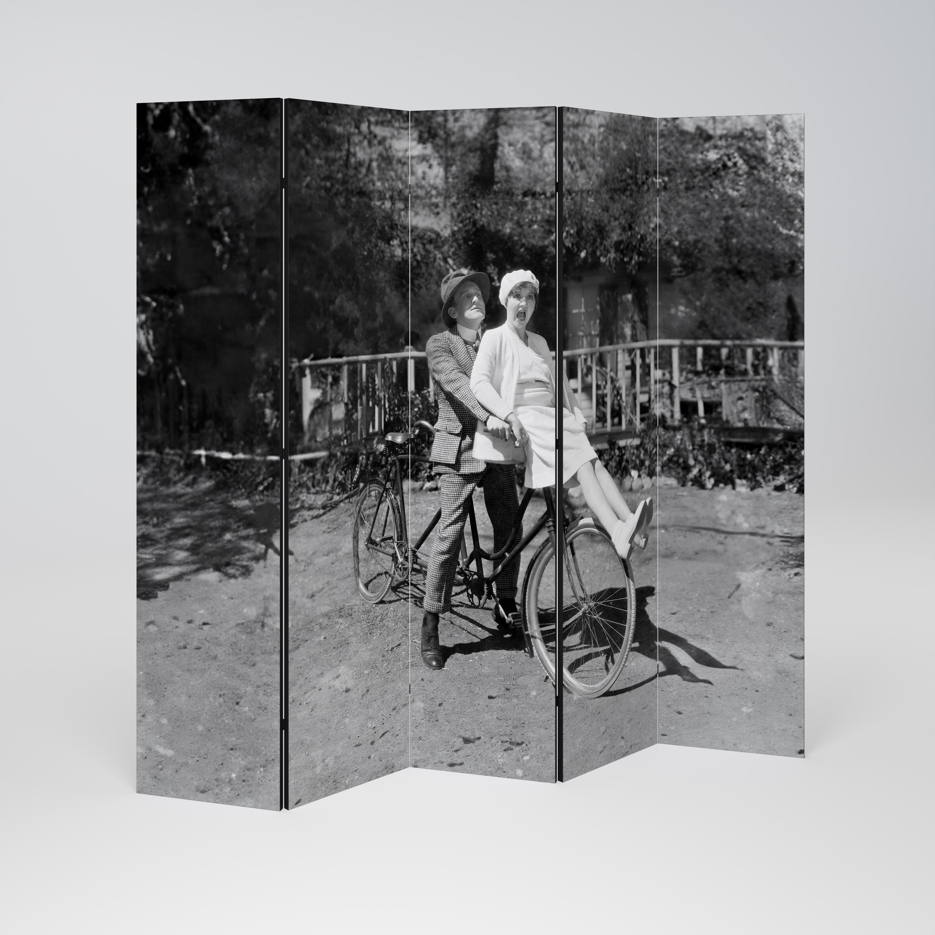 RIDING THROUGH TIME Dekorativ rumsavdelare med 5 paneler