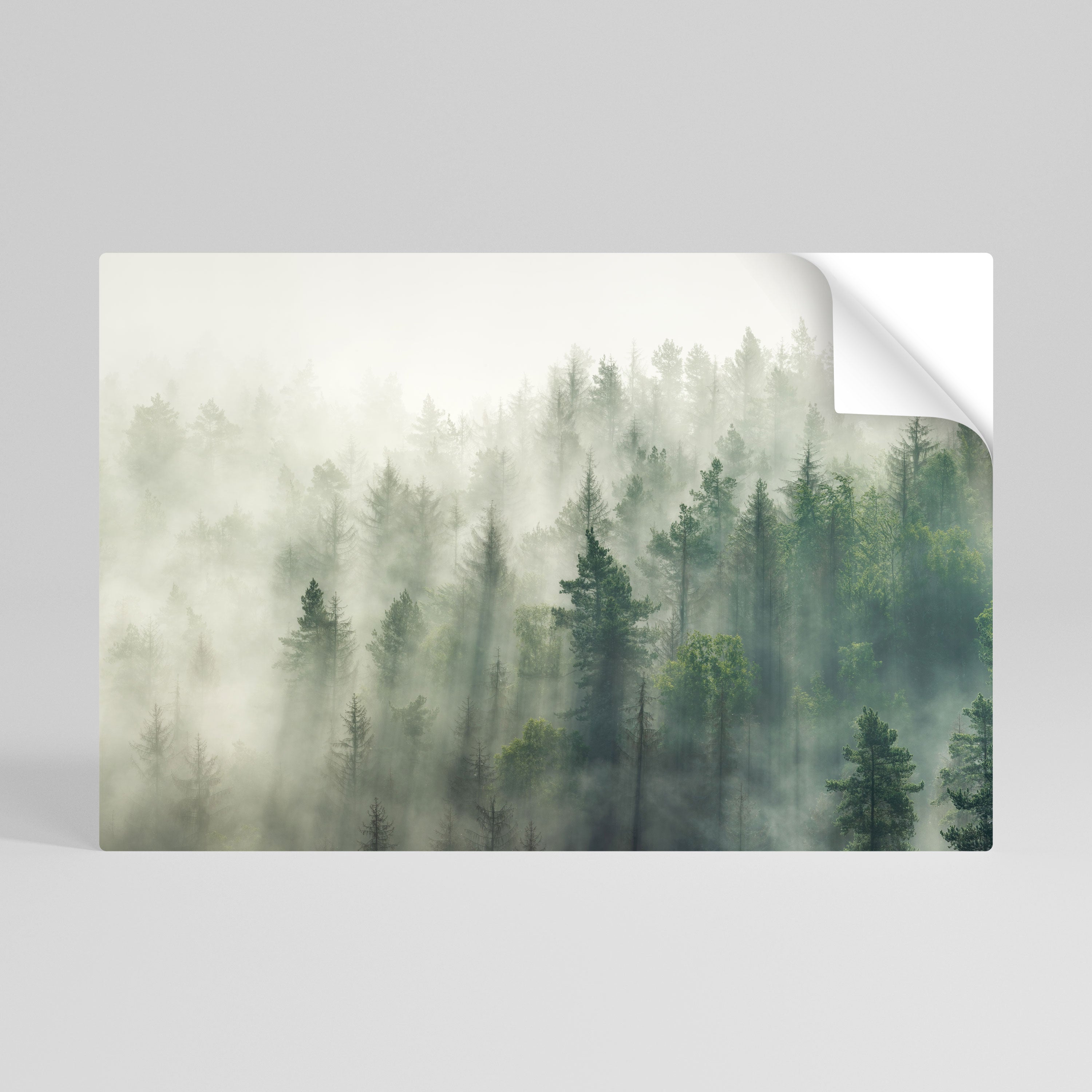 MISTY FOREST Självhäftande Horisontell Poster