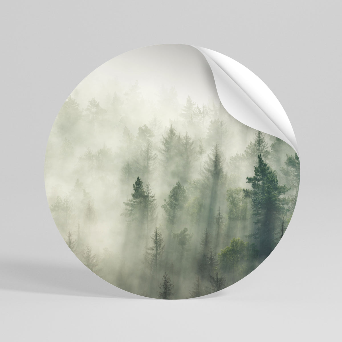 MISTY FOREST Rund väggdekal