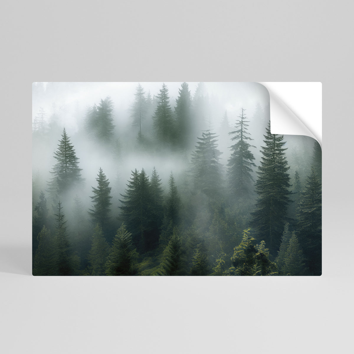 FOGGY CREST Självhäftande Horisontell Poster