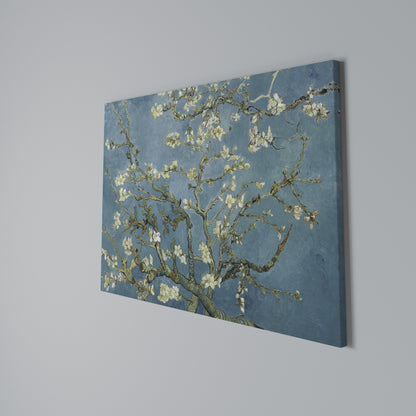 ALMOND BLOSSOM Horizontal Canvas Print