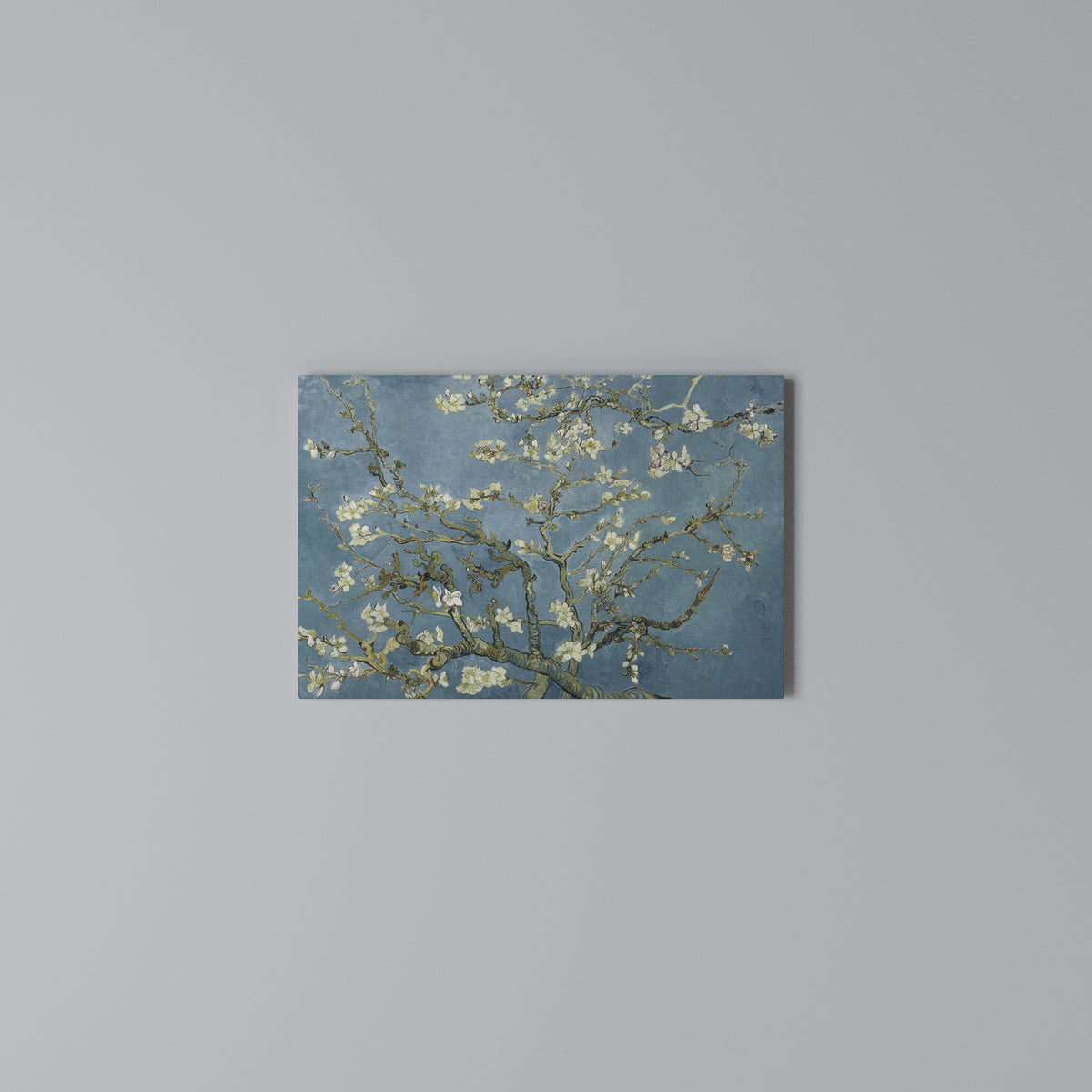 ALMOND BLOSSOM Horizontal Canvas Print
