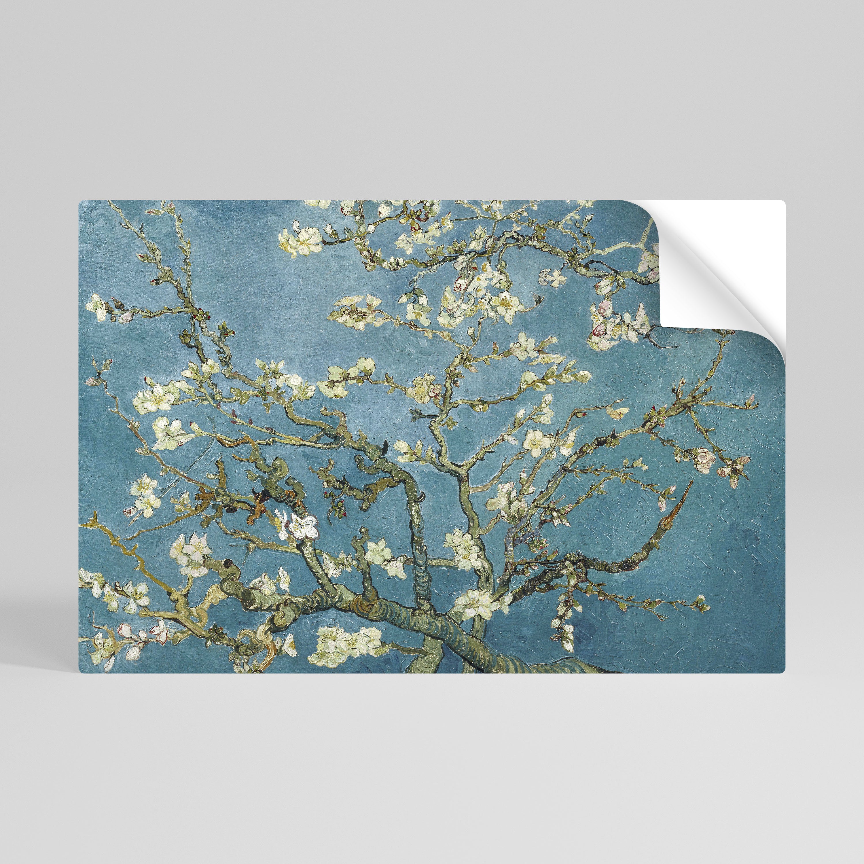 ALMOND BLOSSOM Självhäftande Horisontell Poster