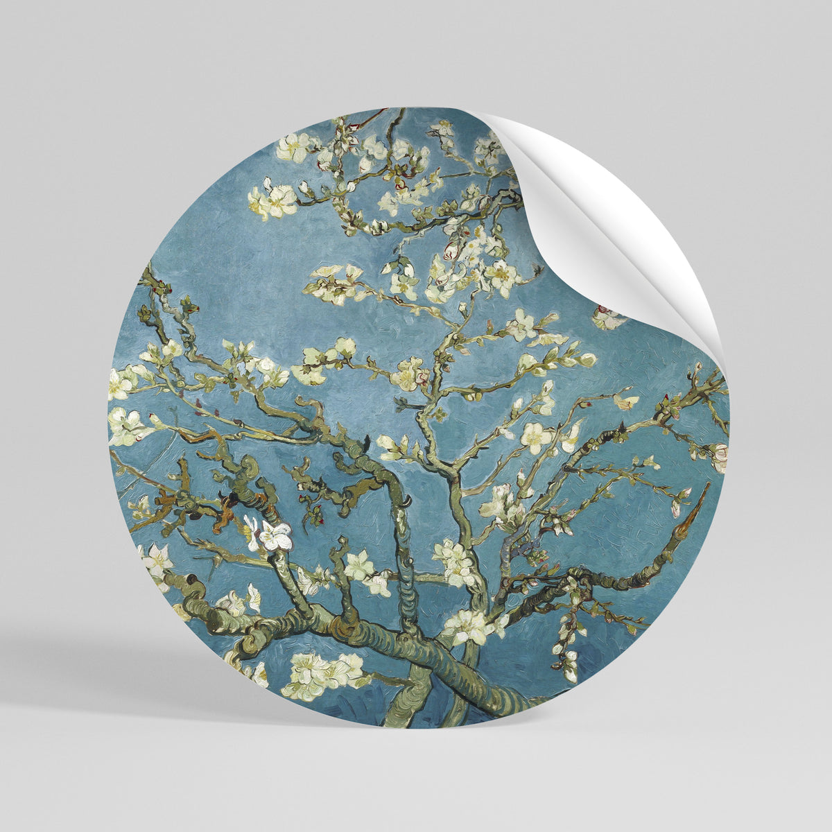 ALMOND BLOSSOM Rund väggdekal