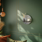 MUTED ARC Round Art Shelf In Black Finish