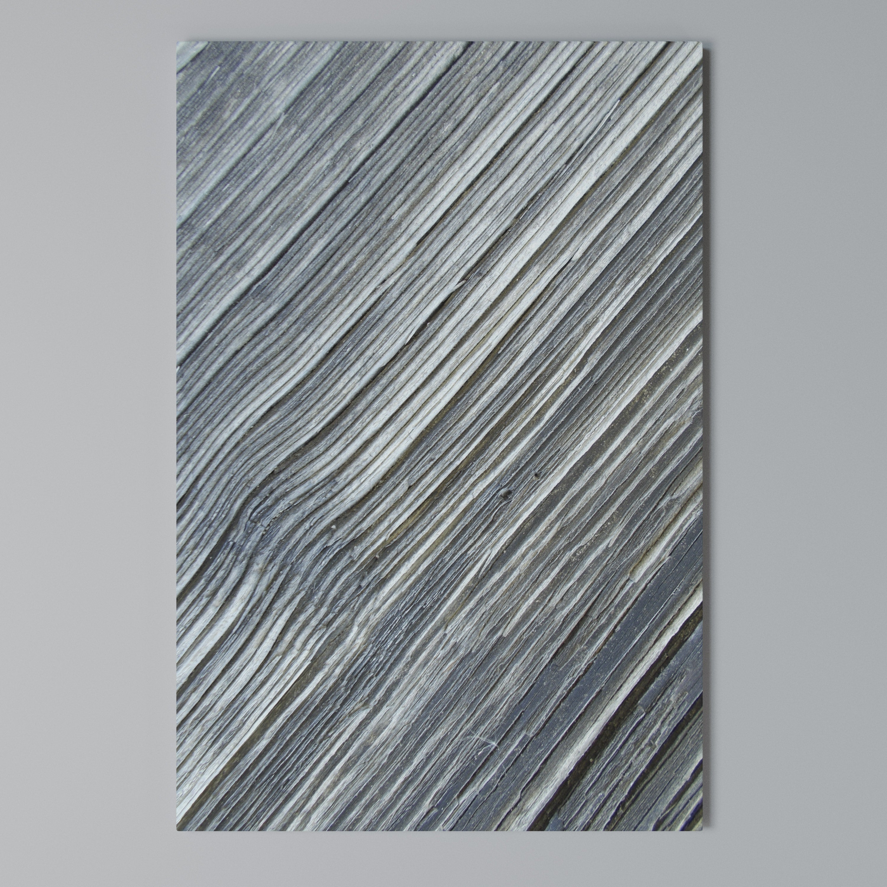 NATURE’S RIBBON RELIC Vertical Canvas Print