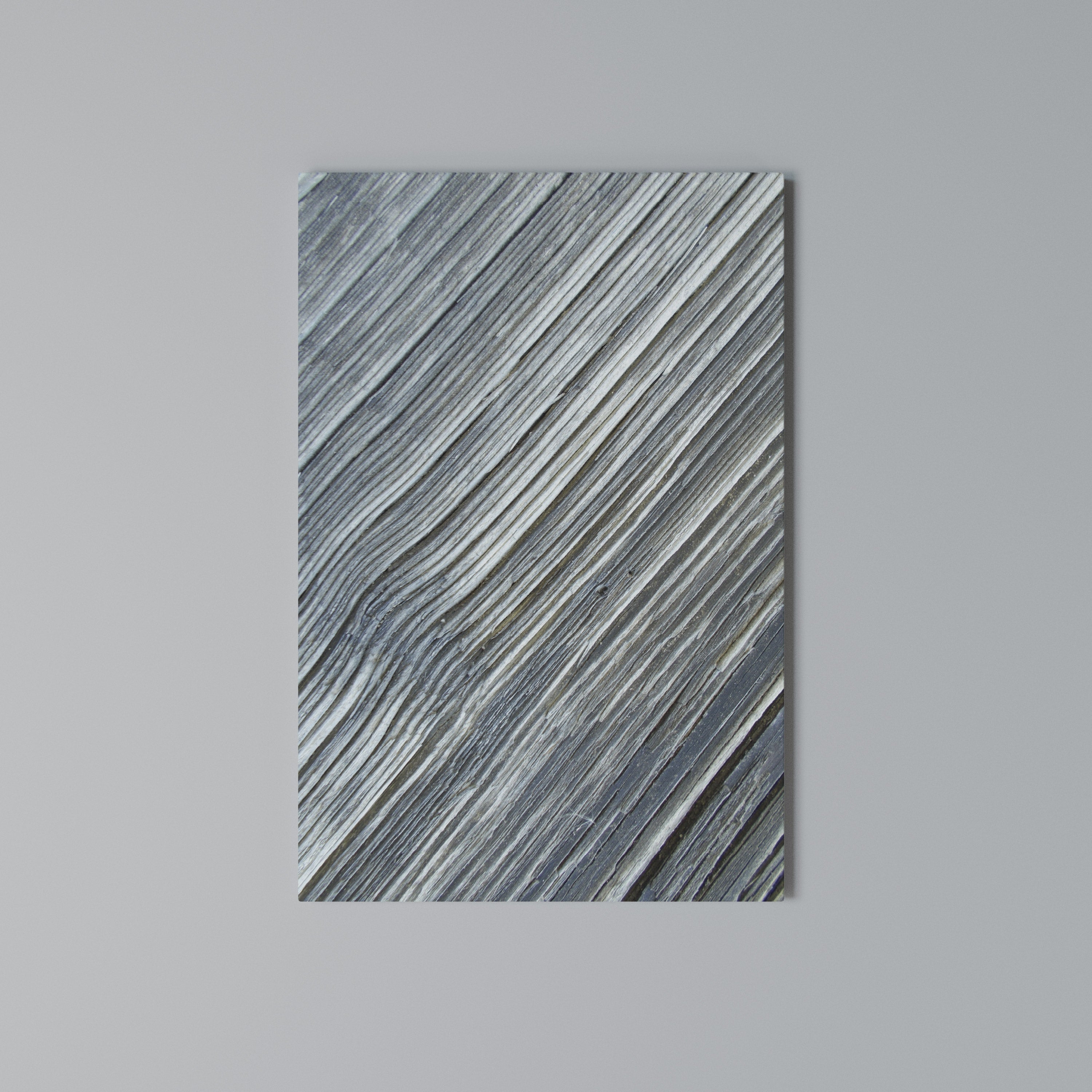 NATURE’S RIBBON RELIC Vertical Canvas Print
