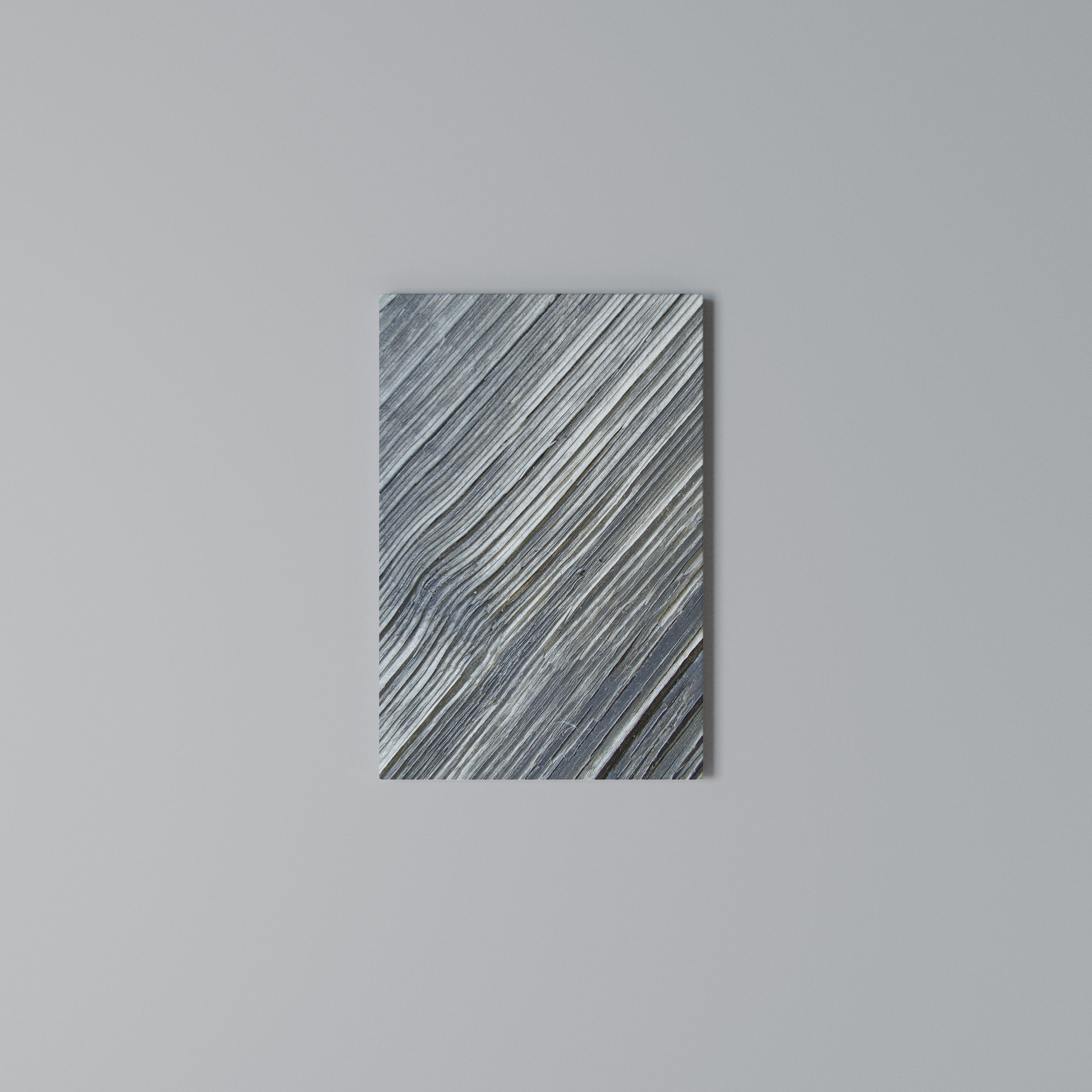 NATURE’S RIBBON RELIC Vertical Canvas Print