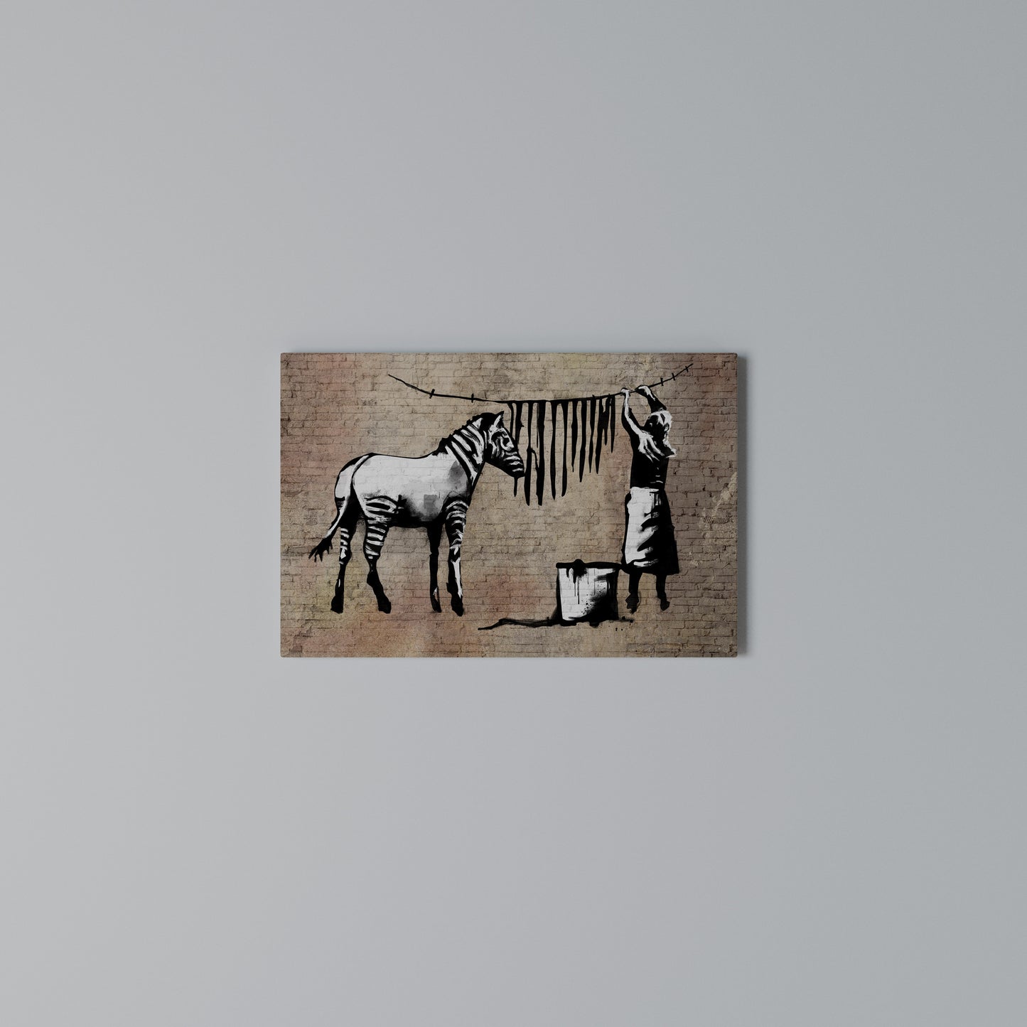 TIDY ZEBRA Horizontal Canvas Print