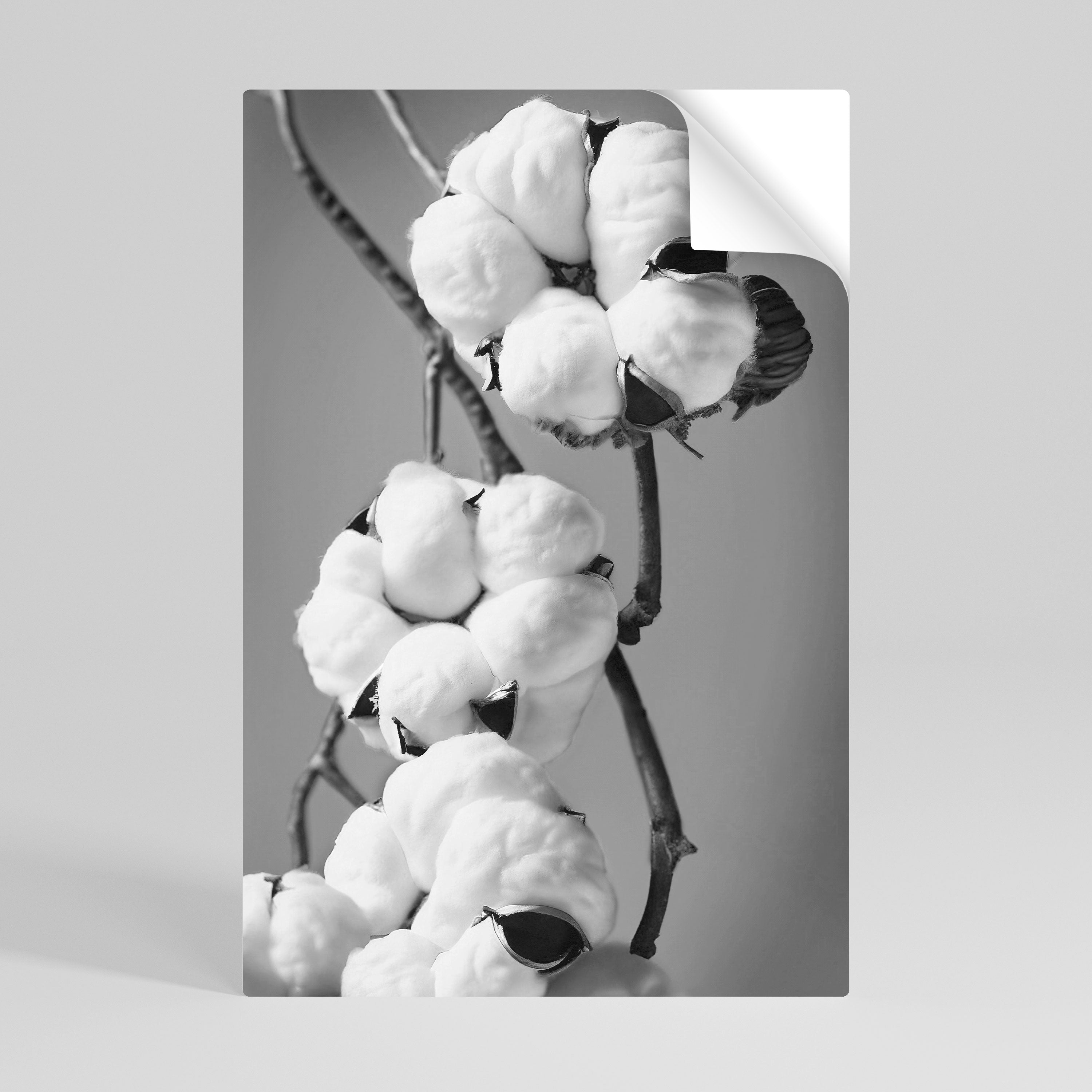 COTTON DREAMSCAPE vertikal poster med självhäftande tryck