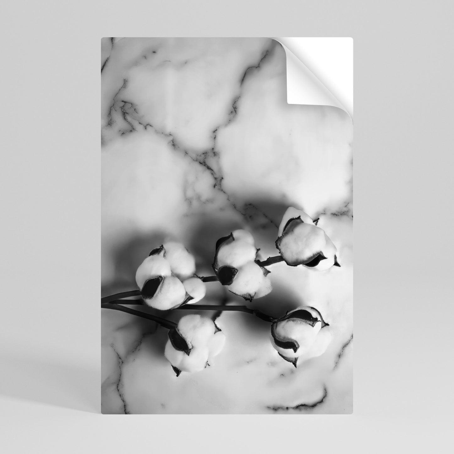 MONOCHROME COTTON DREAMS Självhäftande Vertikal Poster
