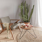 WILD DELICACY Soffbord