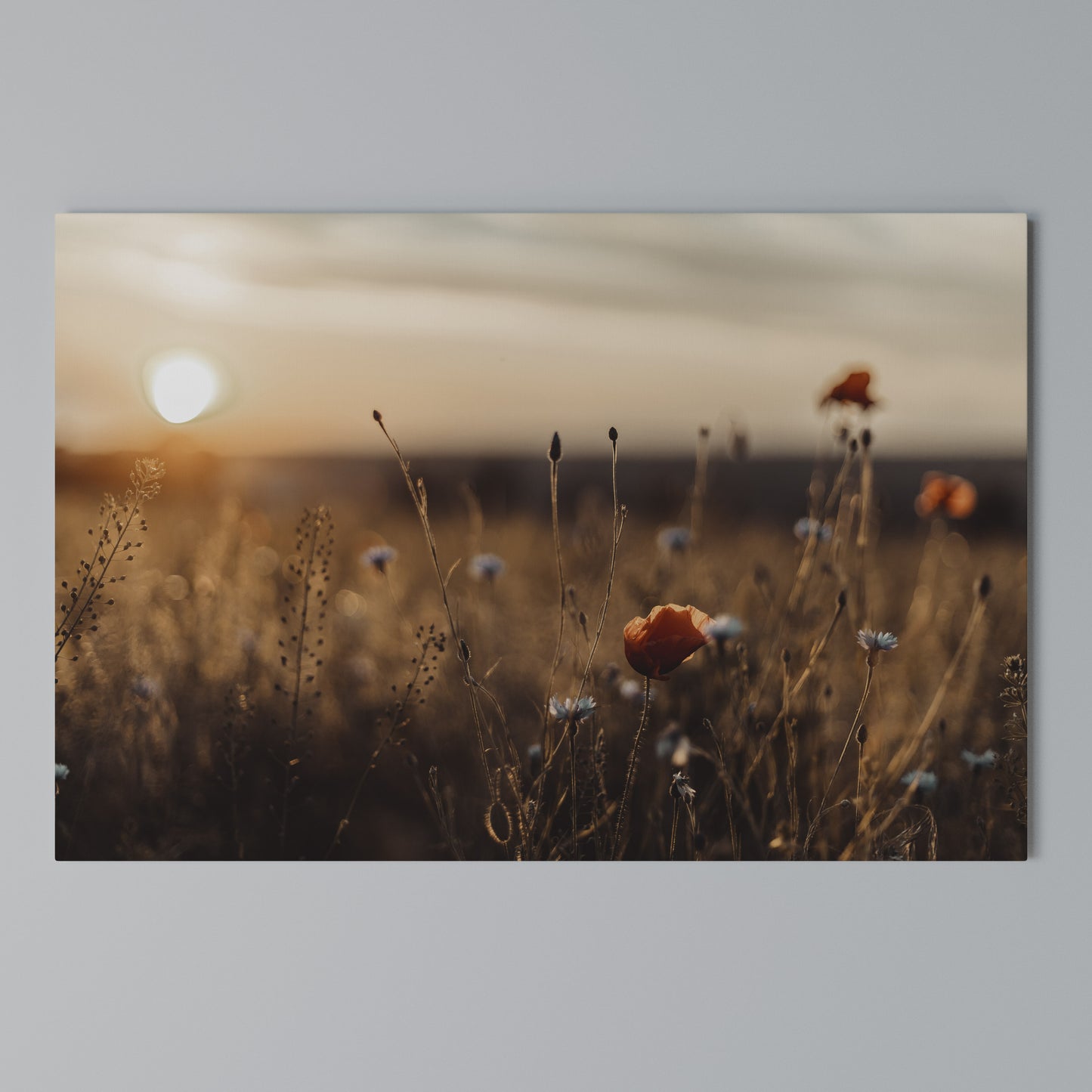 GLOWING MEADOWS AT DUSK Horizontal Canvas Print