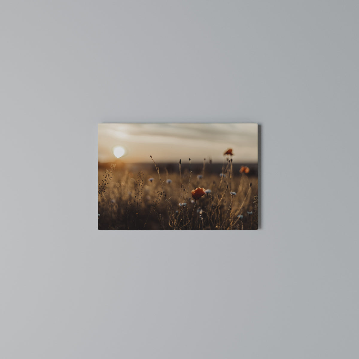 GLOWING MEADOWS AT DUSK Horizontal Canvas Print