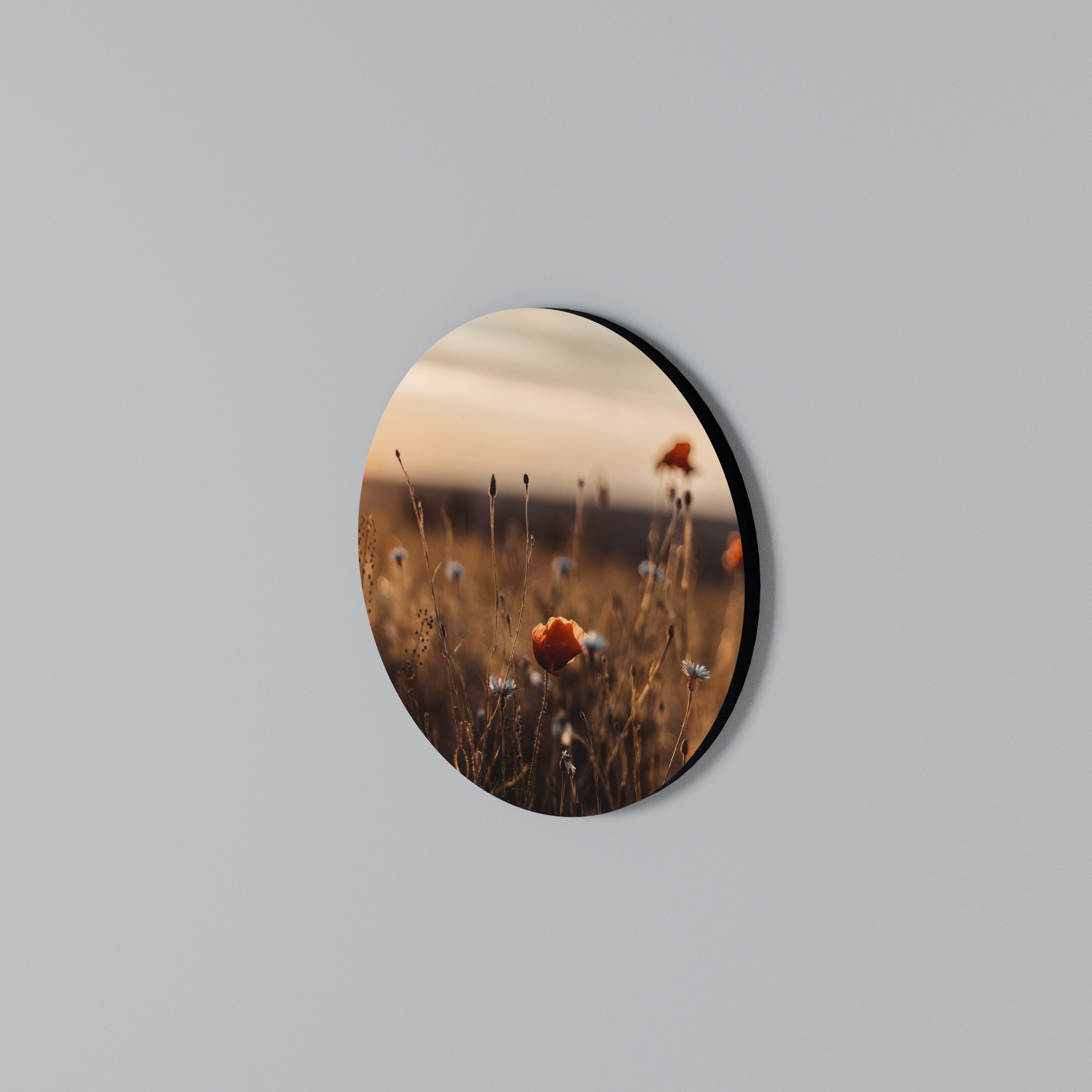 Rund väggkonst med GLÖDANDE ÄNGAR I SKYMNINGEN