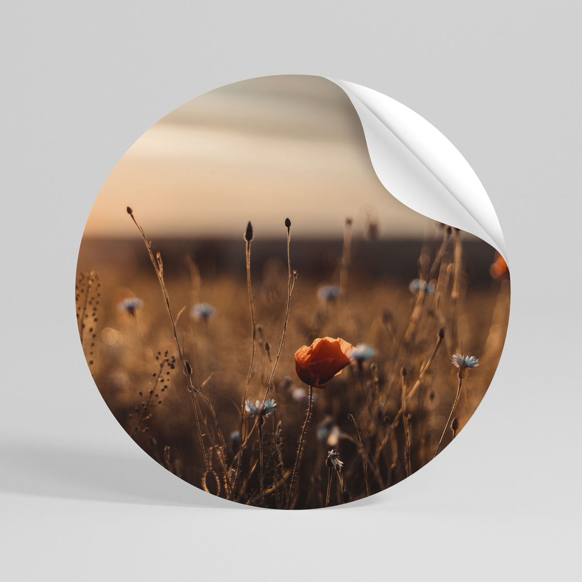 GLOWING MEADOWS AT DUSK Peel and Stick Round Sticker