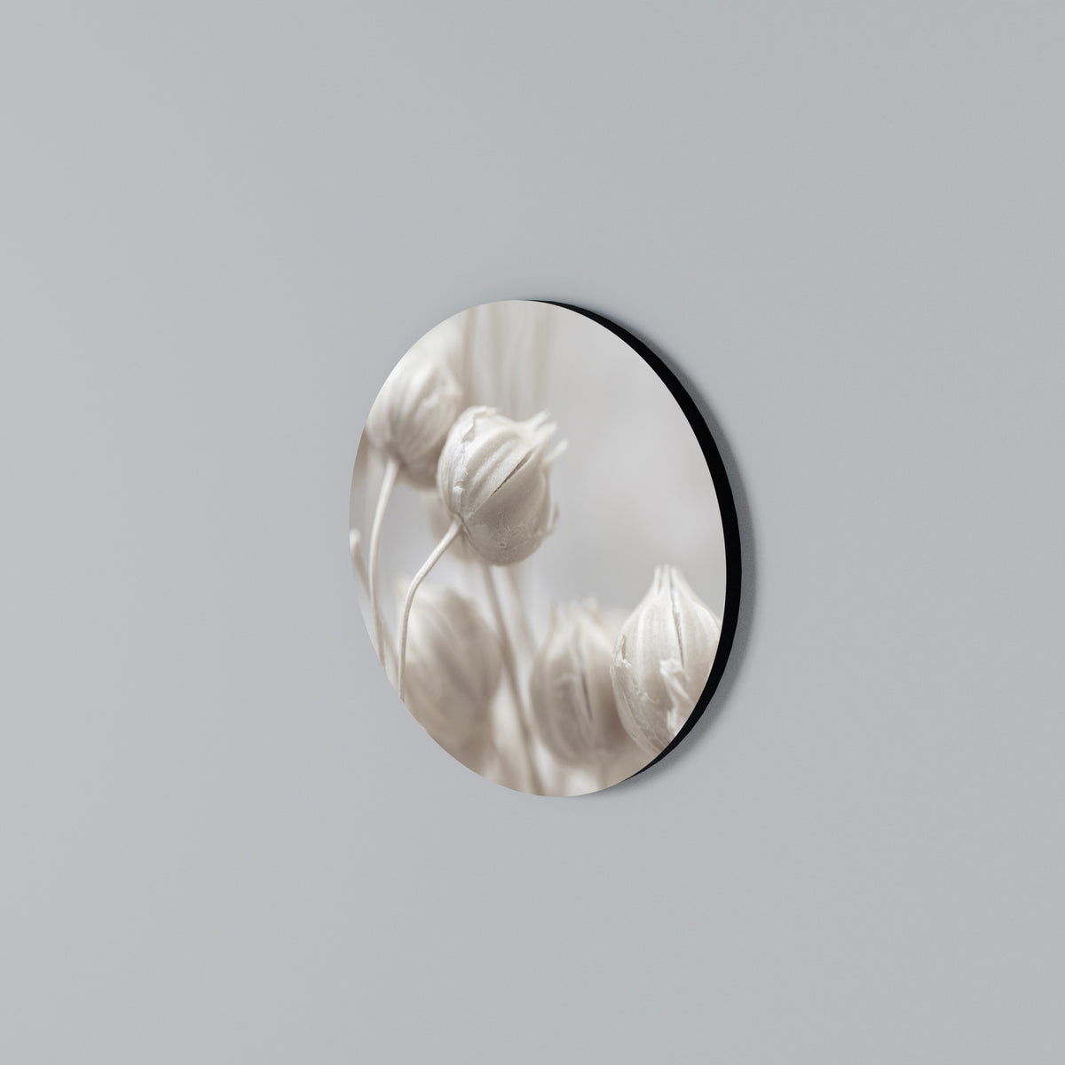 MYSTICAL BOTANICAL BLUSH Rund väggdekor