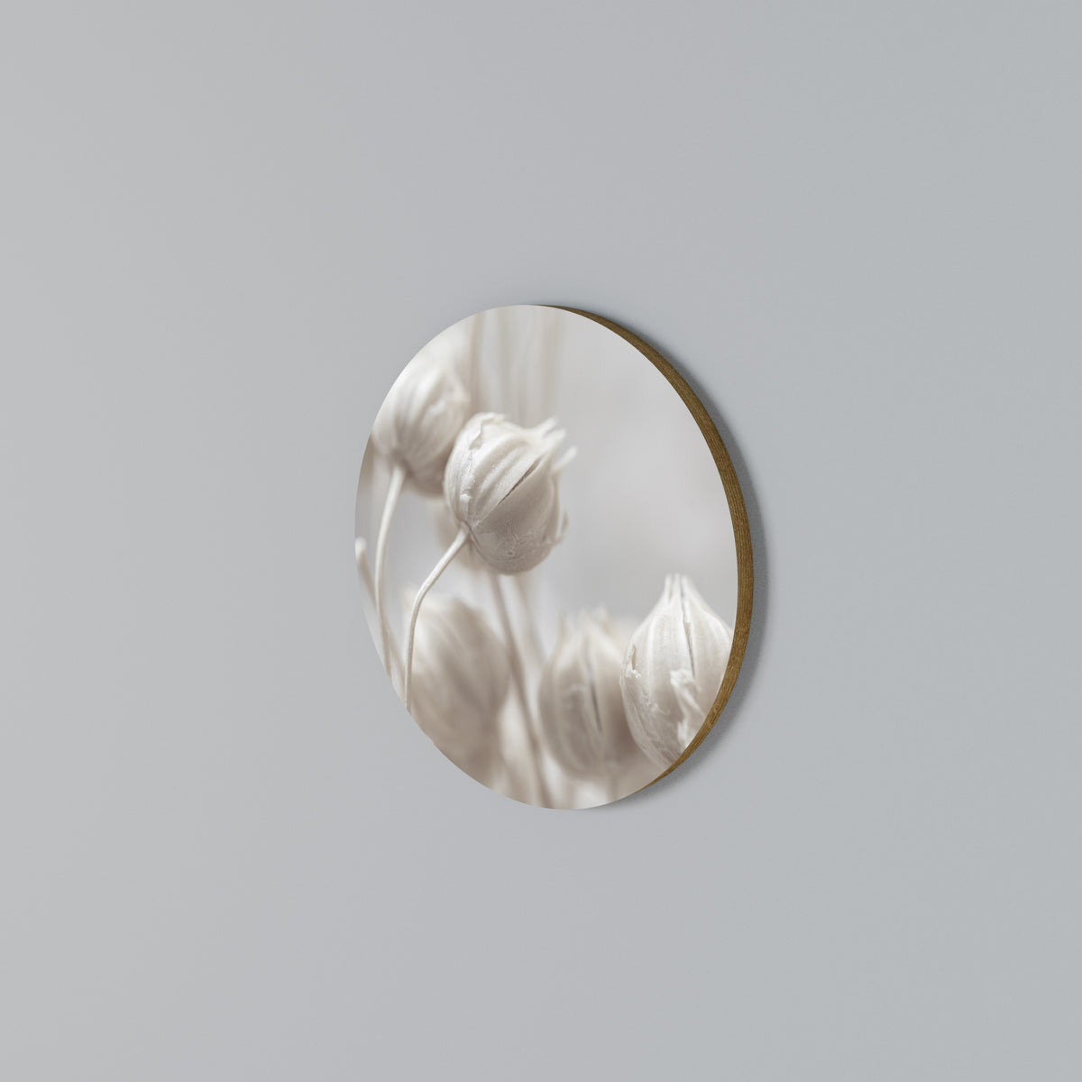 MYSTICAL BOTANICAL BLUSH Rund väggdekor