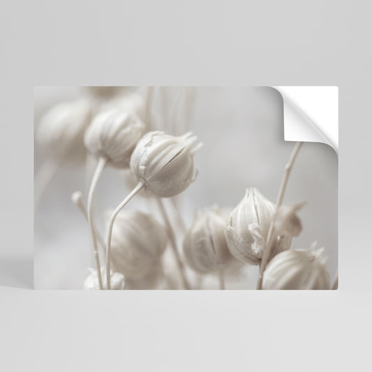 MYSTICAL BOTANICAL BLUSH Självhäftande Horisontell Poster