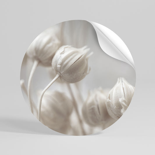 MYSTICAL BOTANICAL BLUSH Rund väggdekal