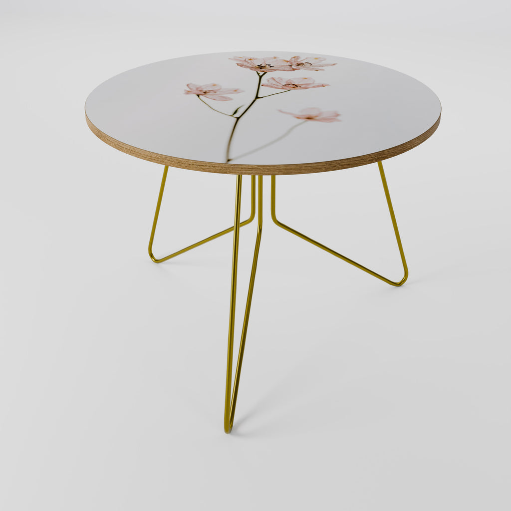 WHISPERS OF PINK Coffee Table