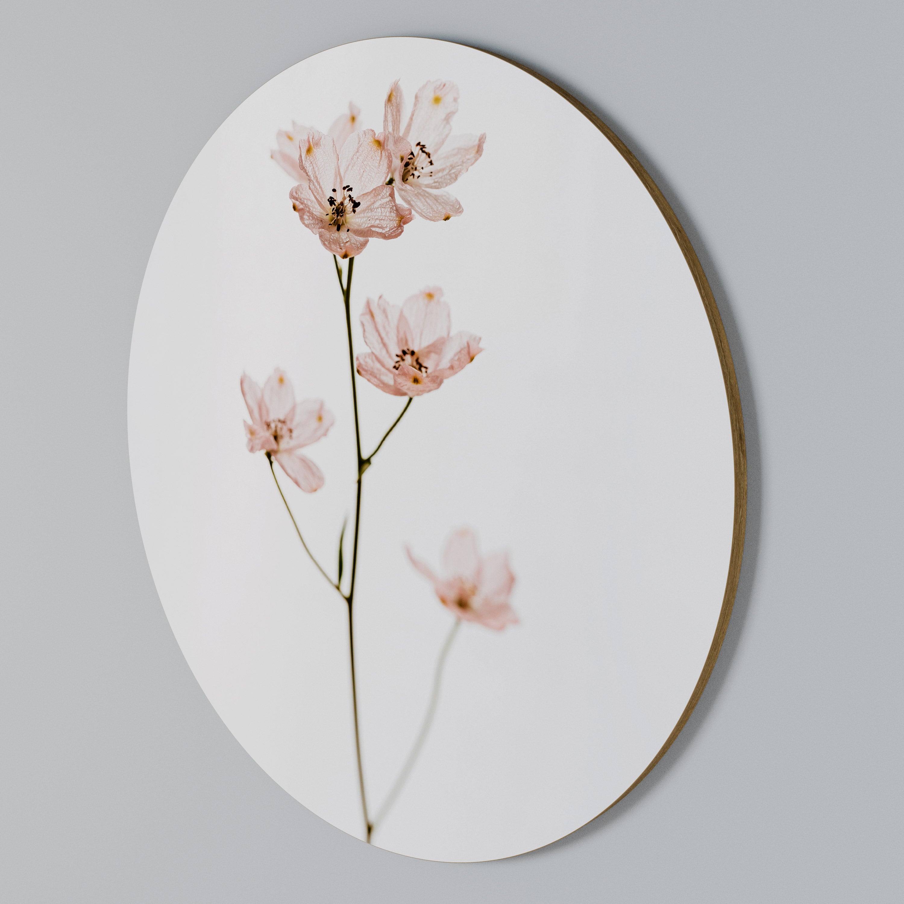 WHISPERS OF PINK Rund väggdekor