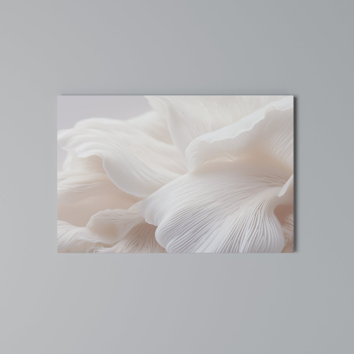 DELICATE PINK HARMONY Horizontal Canvas Print