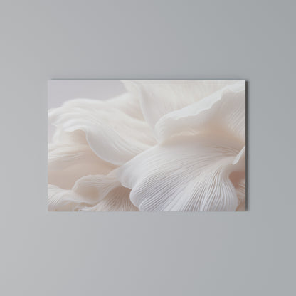 DELICATE PINK HARMONY Horizontal Canvas Print