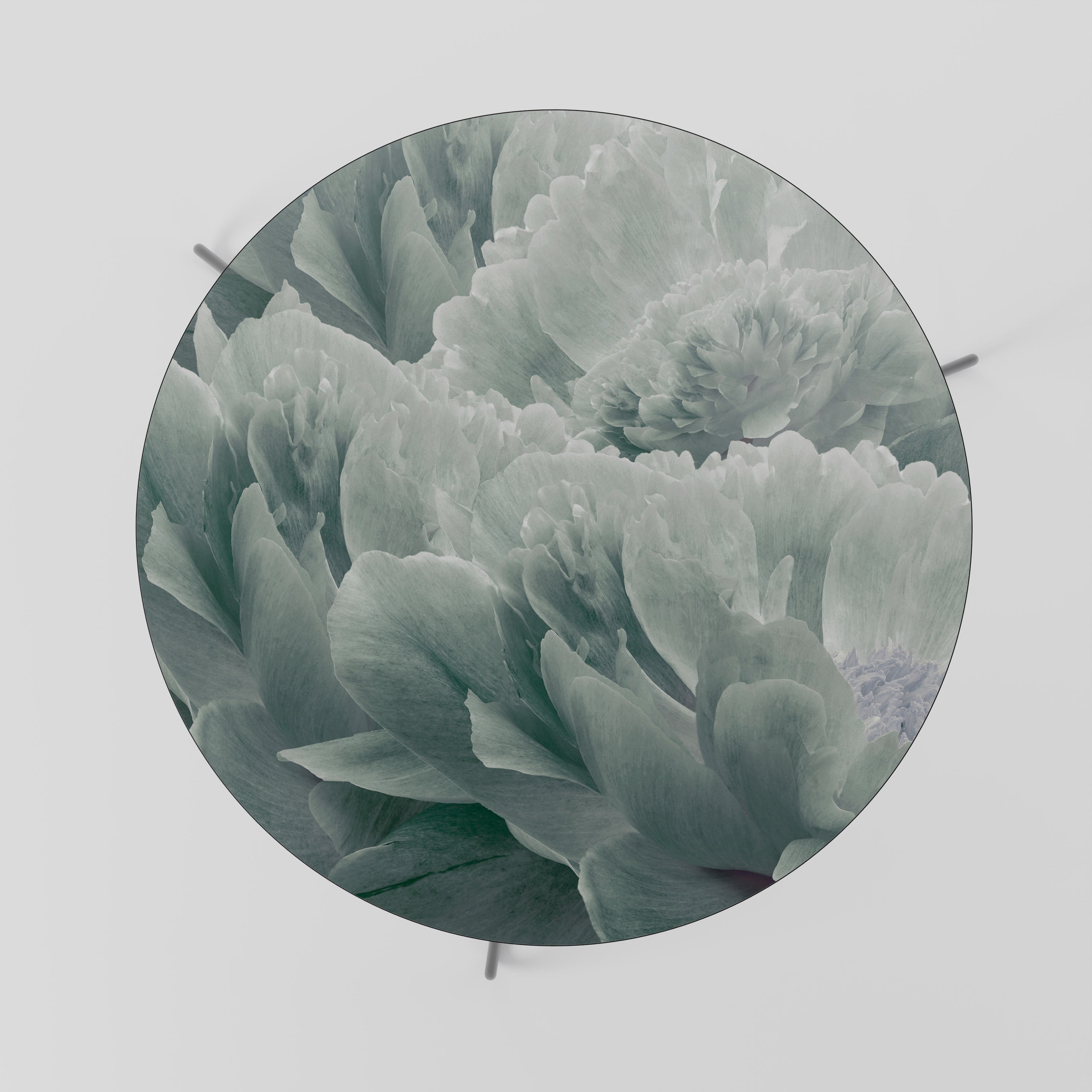 TREE PEONIES Soffbord