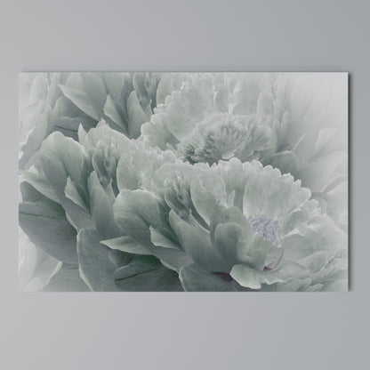 TREE PEONIES Horizontal Canvas Print