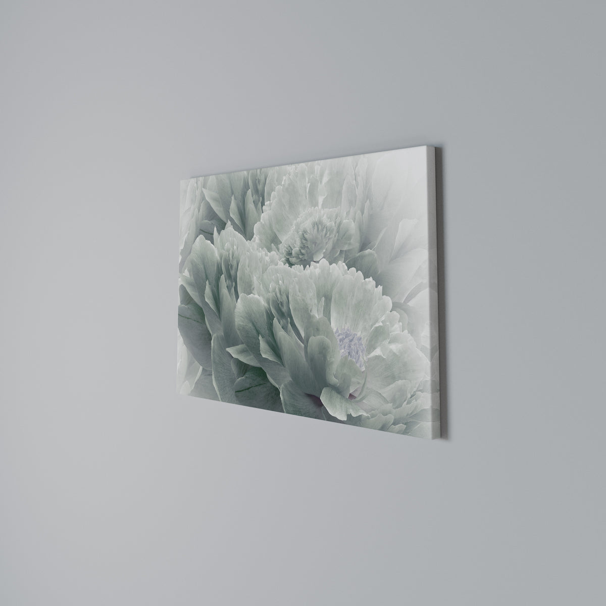 TREE PEONIES Horizontal Canvas Print