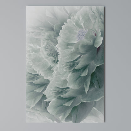 TREE PEONIES Vertical Canvas Print
