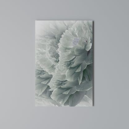 TREE PEONIES Vertical Canvas Print