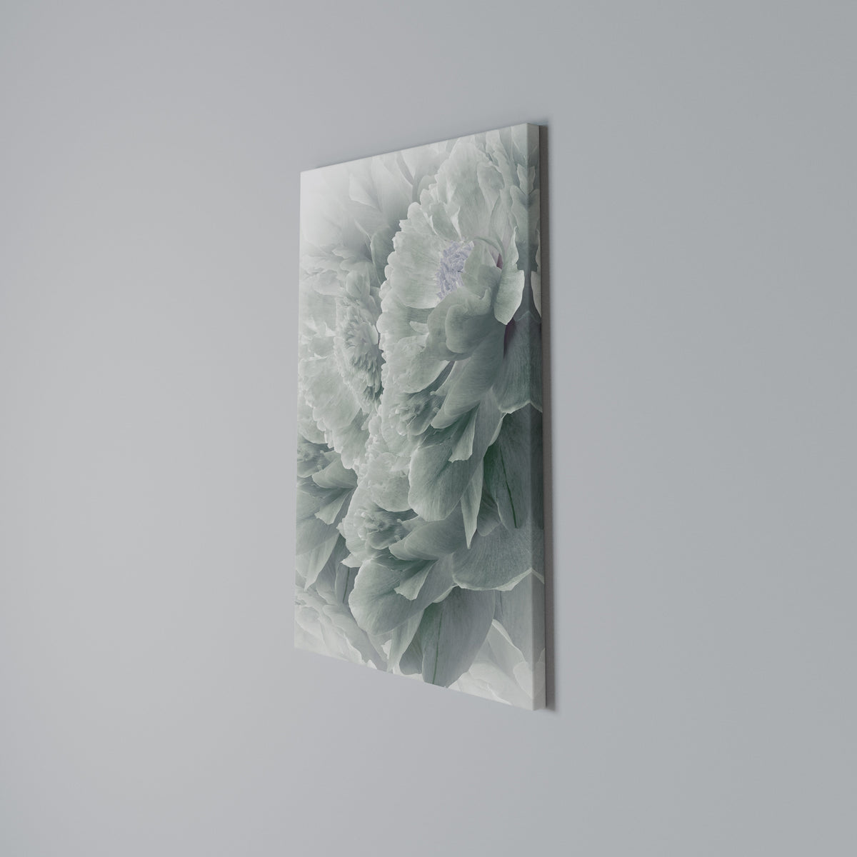TREE PEONIES Vertical Canvas Print