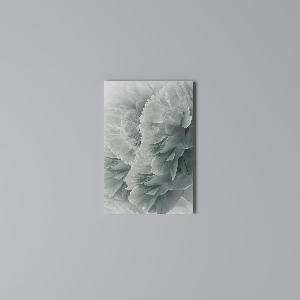 TREE PEONIES Vertical Canvas Print