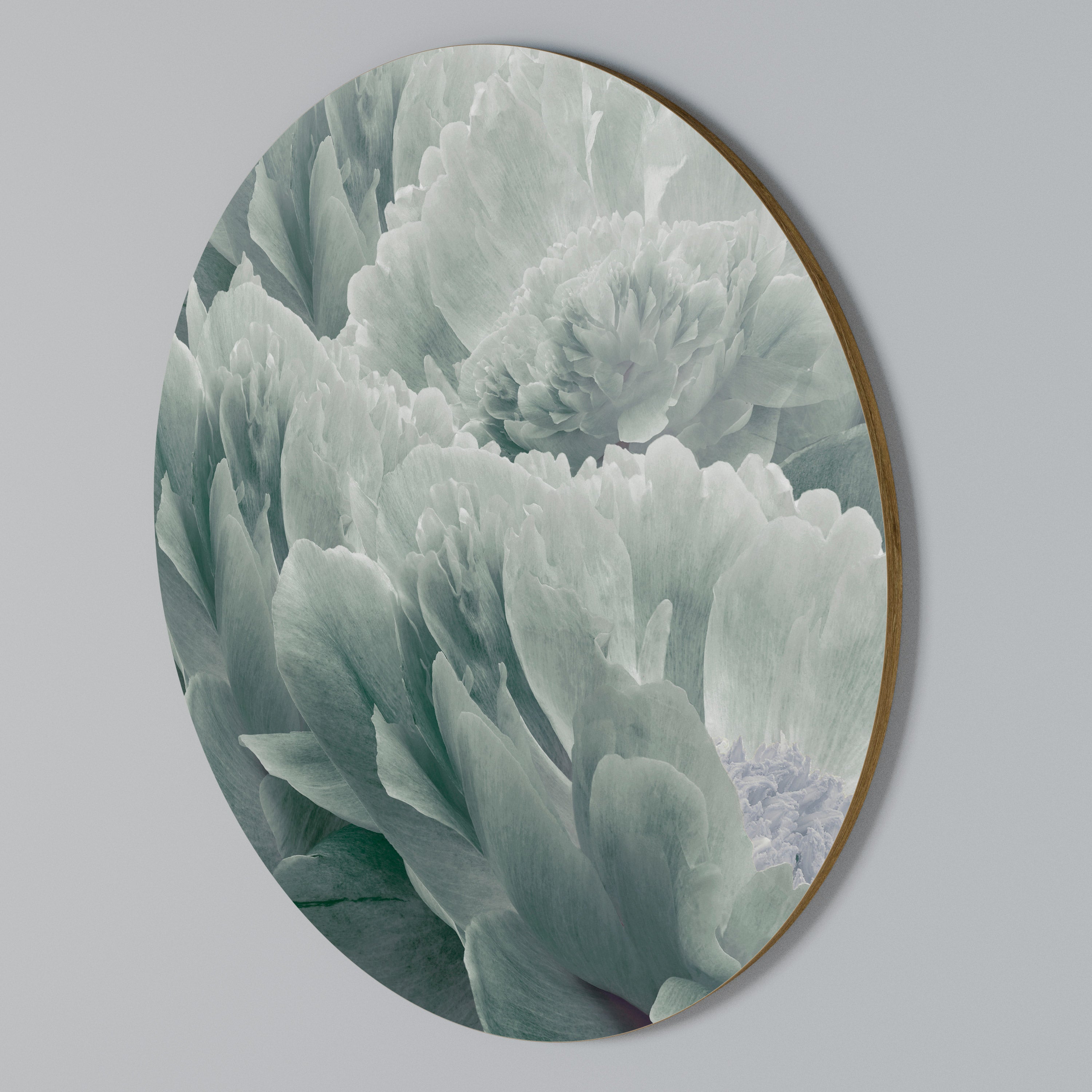 TREE PEONIES Rund väggdekor